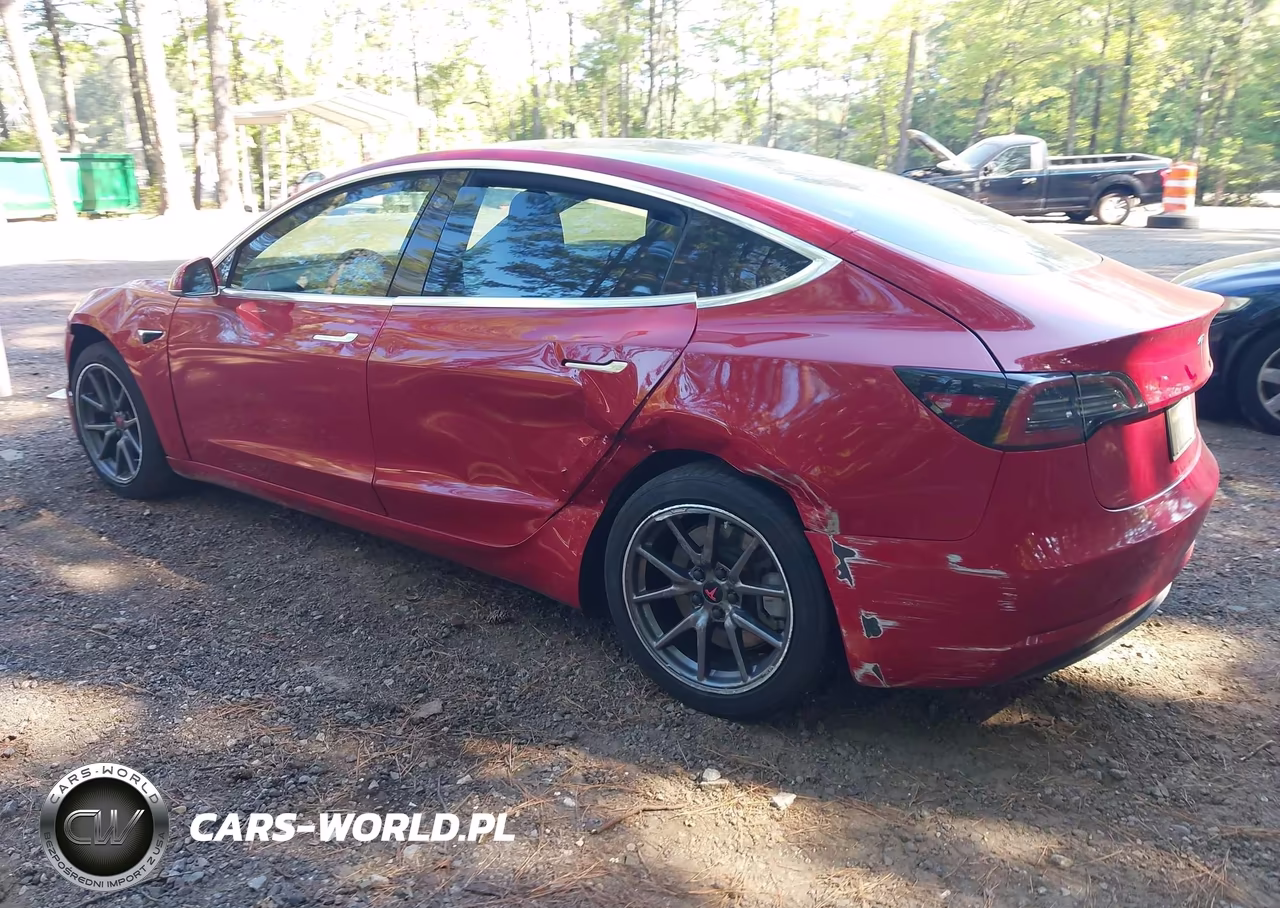 2019 Tesla Model 3 Long Range-Mid Range-Standard Range-Standard Range Plus VIN:5YJ3E1EA1KF299198 - 3