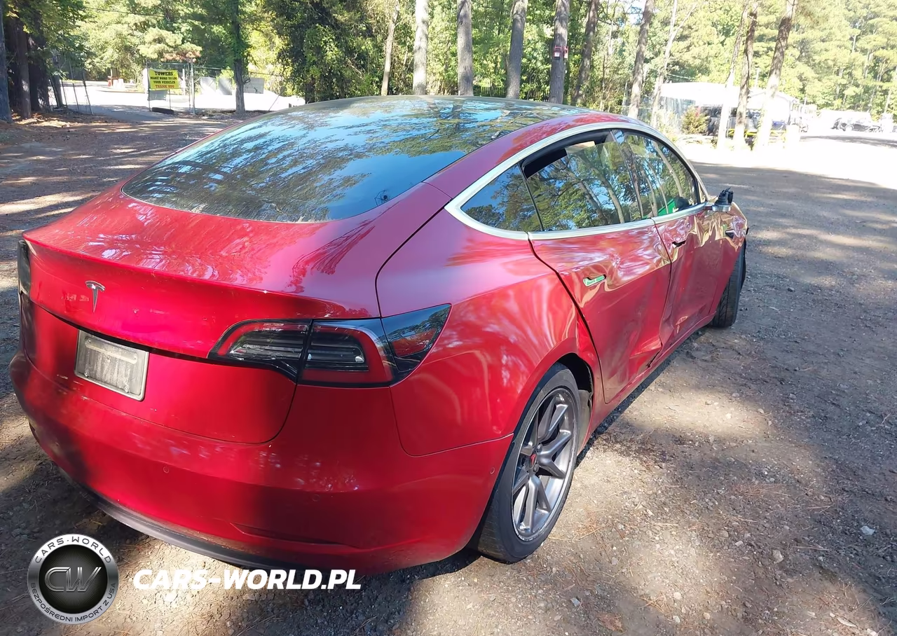 2019 Tesla Model 3 Long Range-Mid Range-Standard Range-Standard Range Plus VIN:5YJ3E1EA1KF299198 - 4