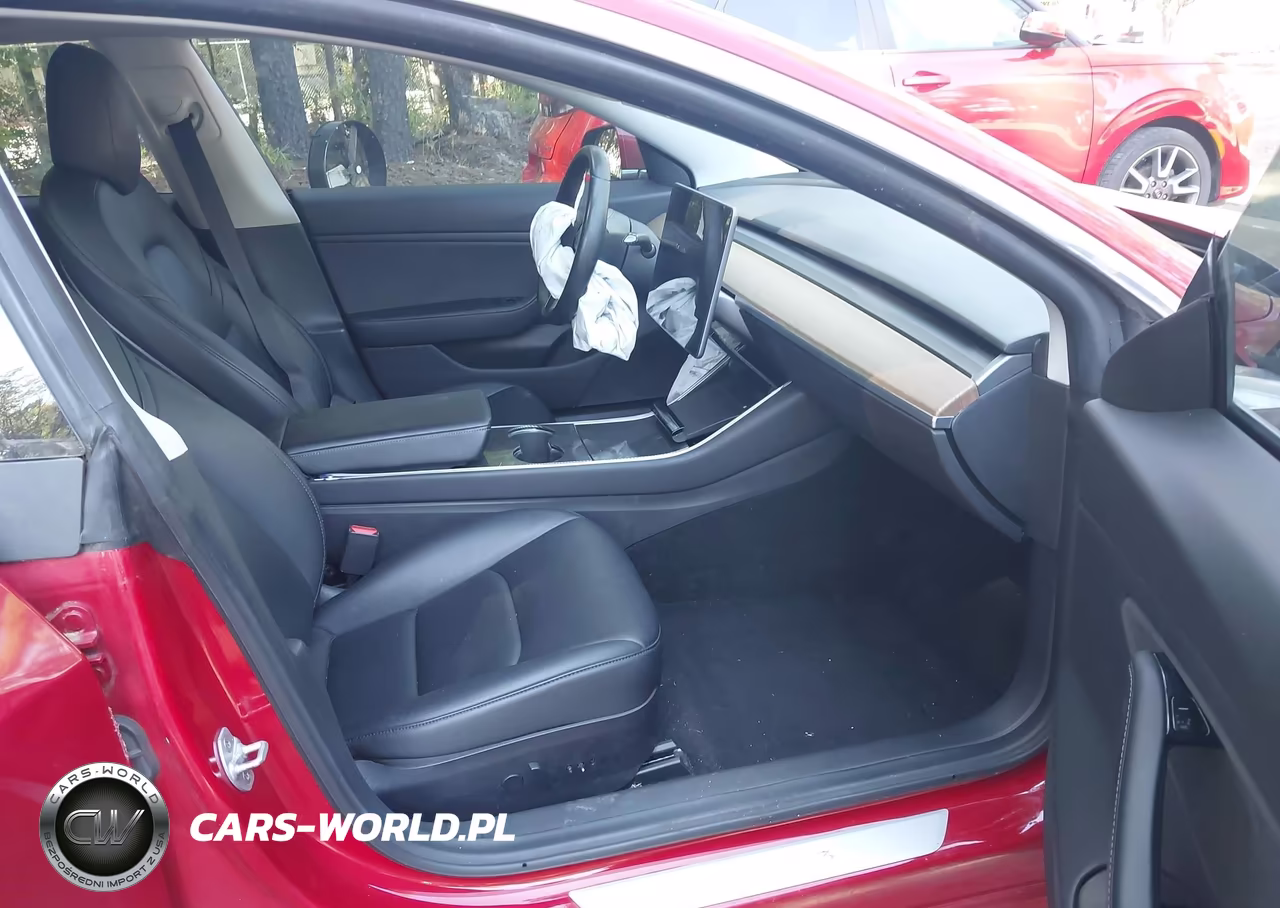 2019 Tesla Model 3 Long Range-Mid Range-Standard Range-Standard Range Plus VIN:5YJ3E1EA1KF299198 - 5