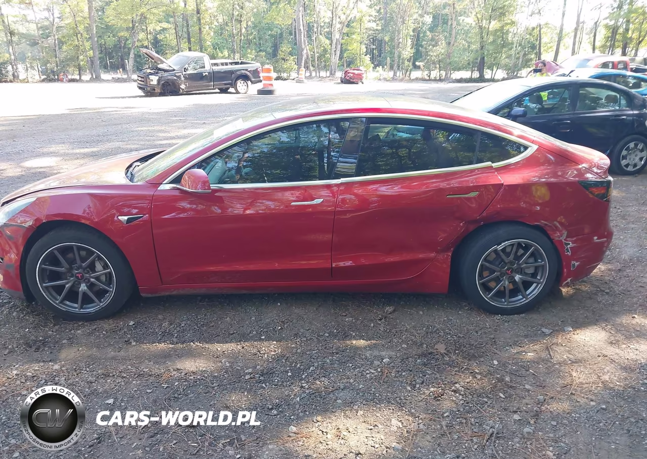 2019 Tesla Model 3 Long Range-Mid Range-Standard Range-Standard Range Plus VIN:5YJ3E1EA1KF299198 - 6