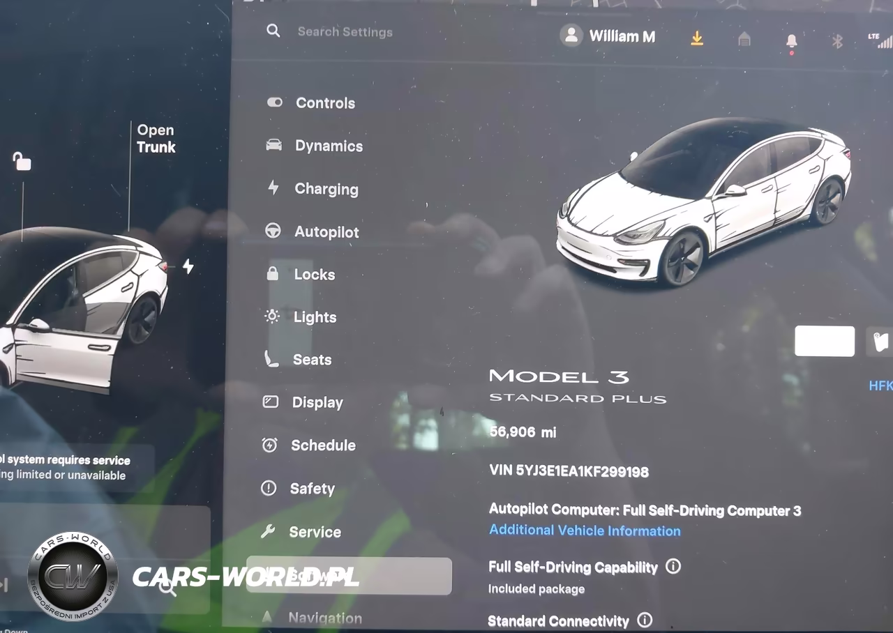 2019 Tesla Model 3 Long Range-Mid Range-Standard Range-Standard Range Plus VIN:5YJ3E1EA1KF299198 - 7