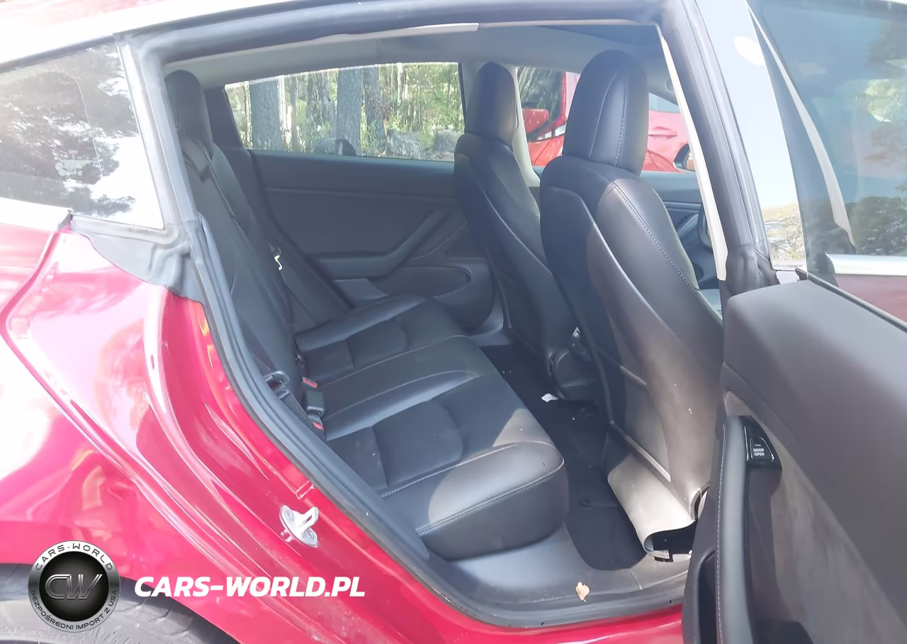 2019 Tesla Model 3 Long Range-Mid Range-Standard Range-Standard Range Plus VIN:5YJ3E1EA1KF299198 - 8