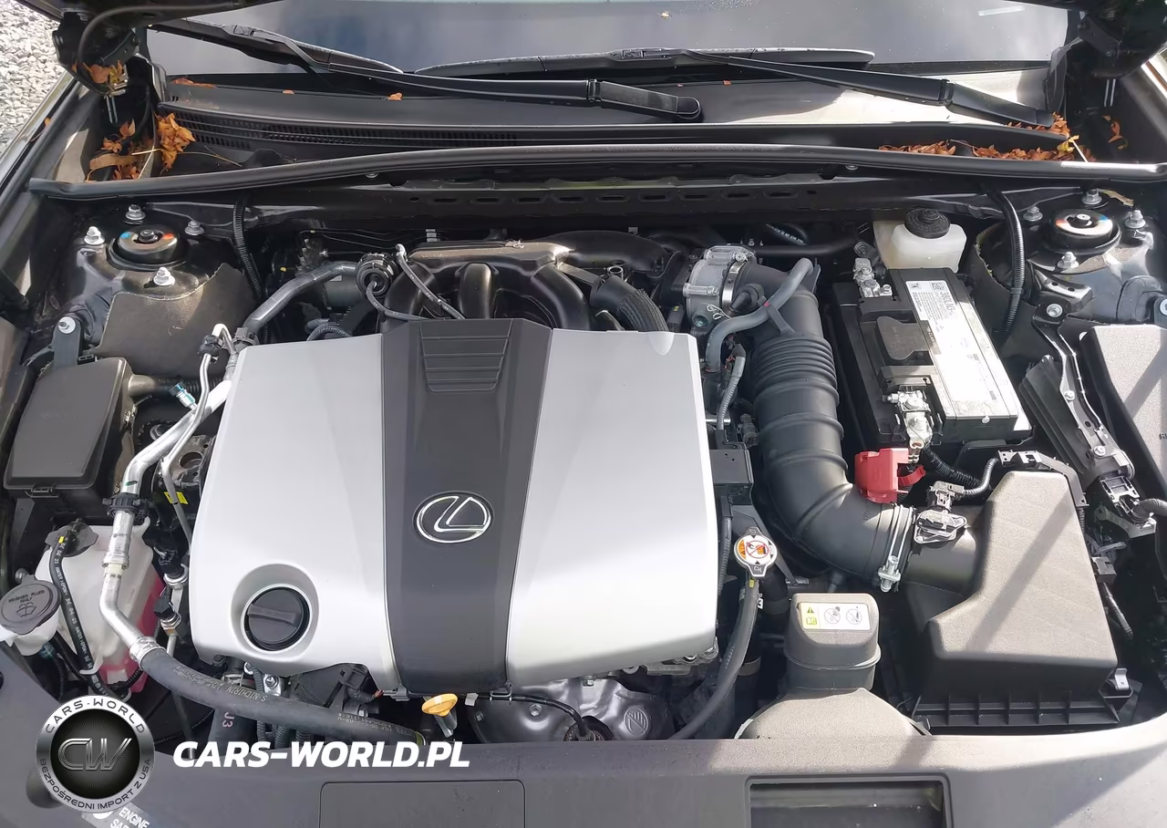 2025 Lexus Es 350 VIN:58ADZ1B1XSU210642 - 10