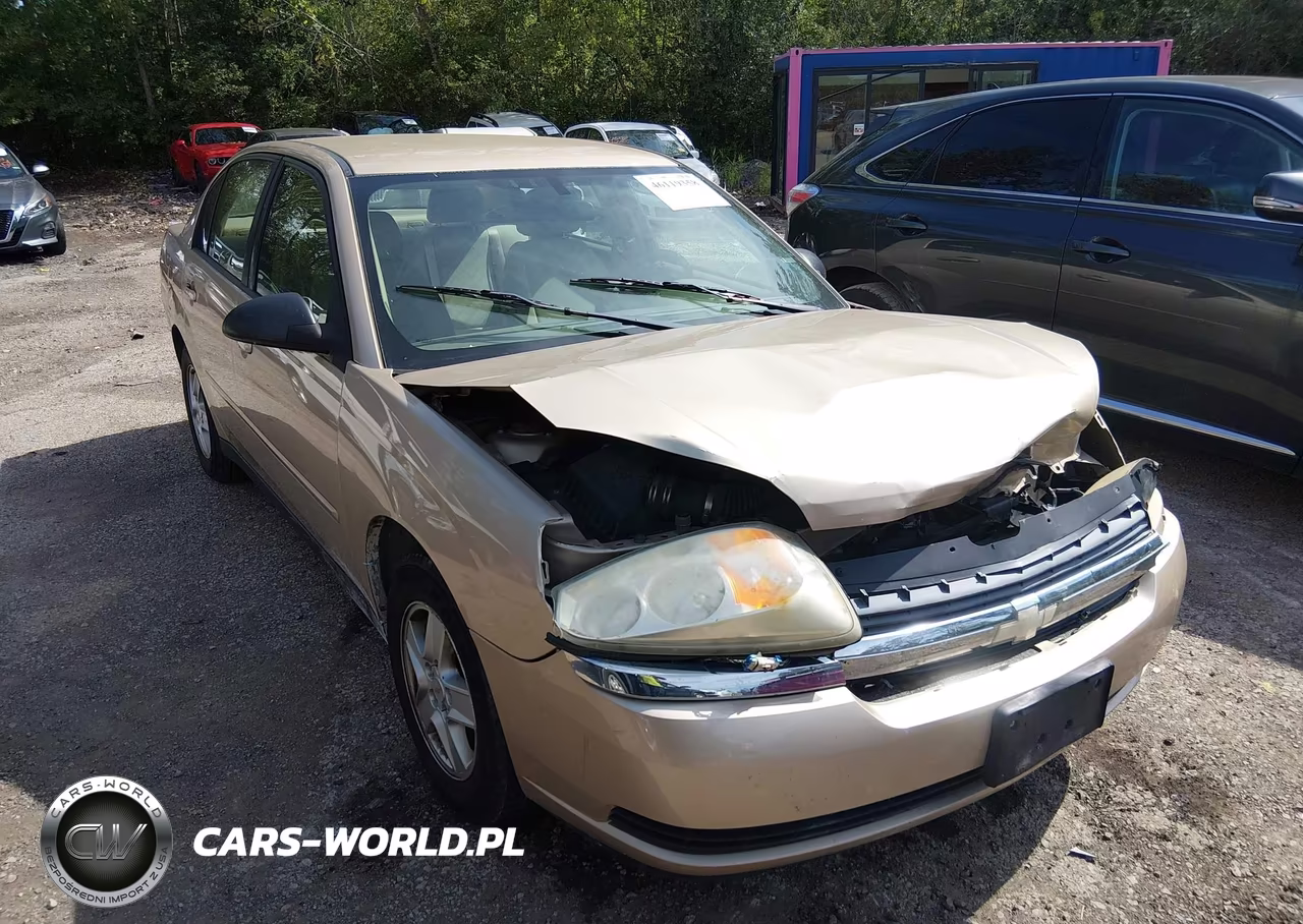 2004 Chevrolet Malibu Ls VIN:1G1ZT54854F246419 - 1