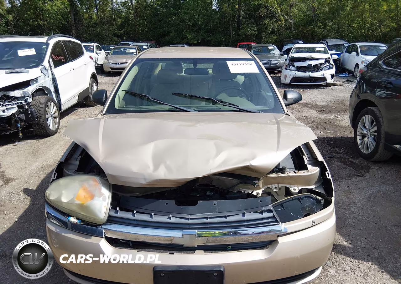 2004 Chevrolet Malibu Ls VIN:1G1ZT54854F246419 - 12