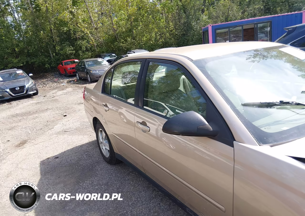 2004 Chevrolet Malibu Ls VIN:1G1ZT54854F246419 - 13