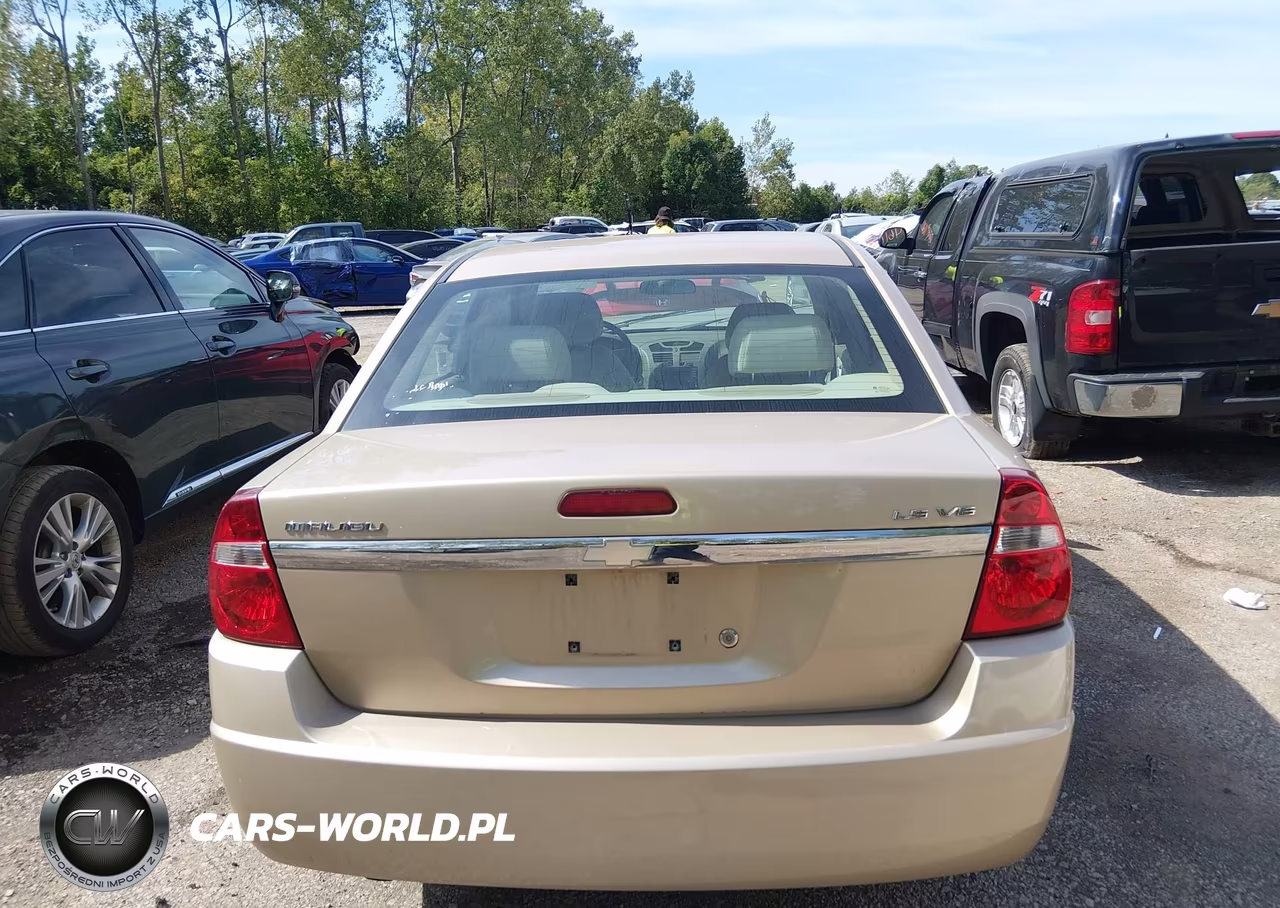 2004 Chevrolet Malibu Ls VIN:1G1ZT54854F246419 - 16