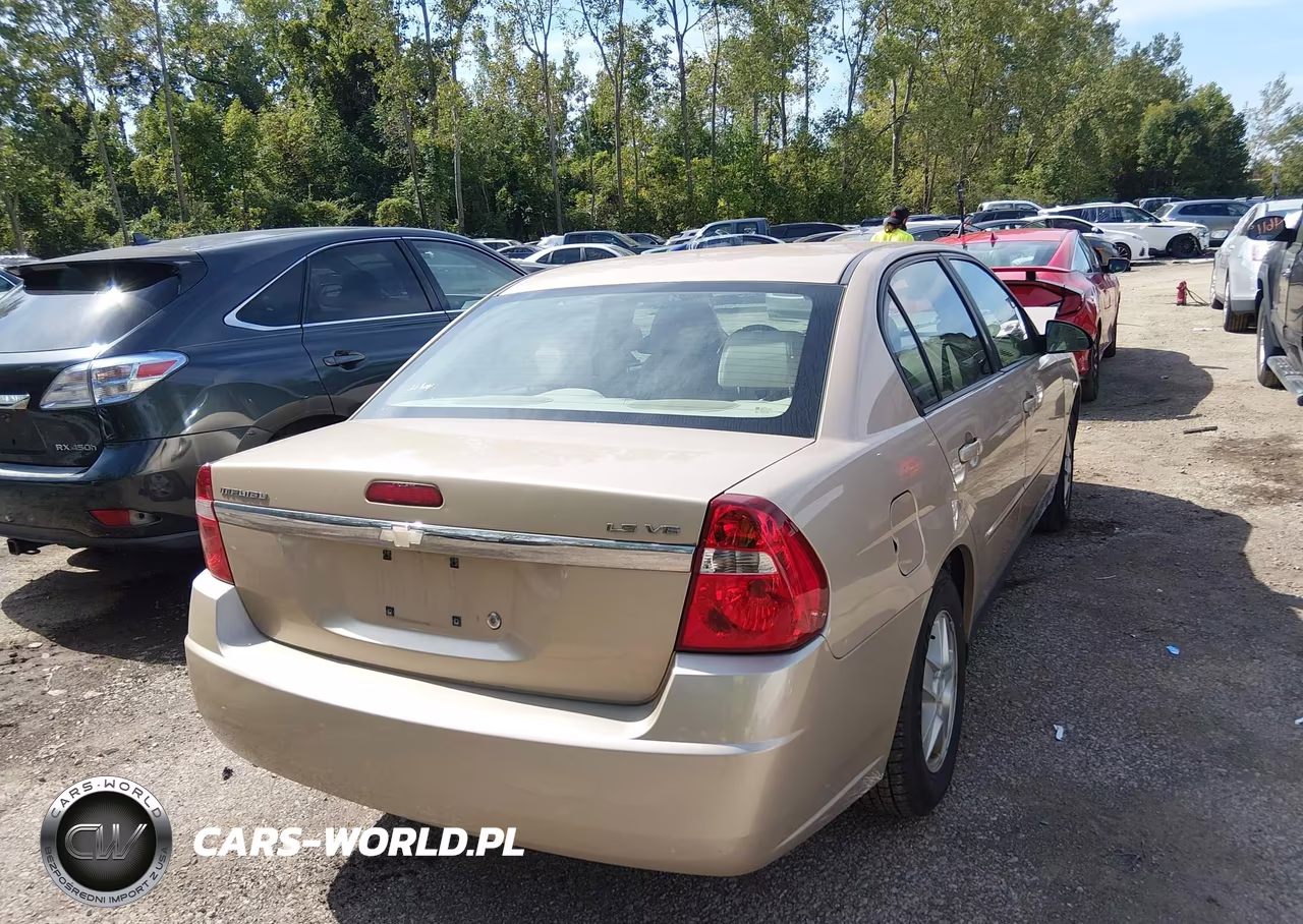 2004 Chevrolet Malibu Ls VIN:1G1ZT54854F246419 - 4