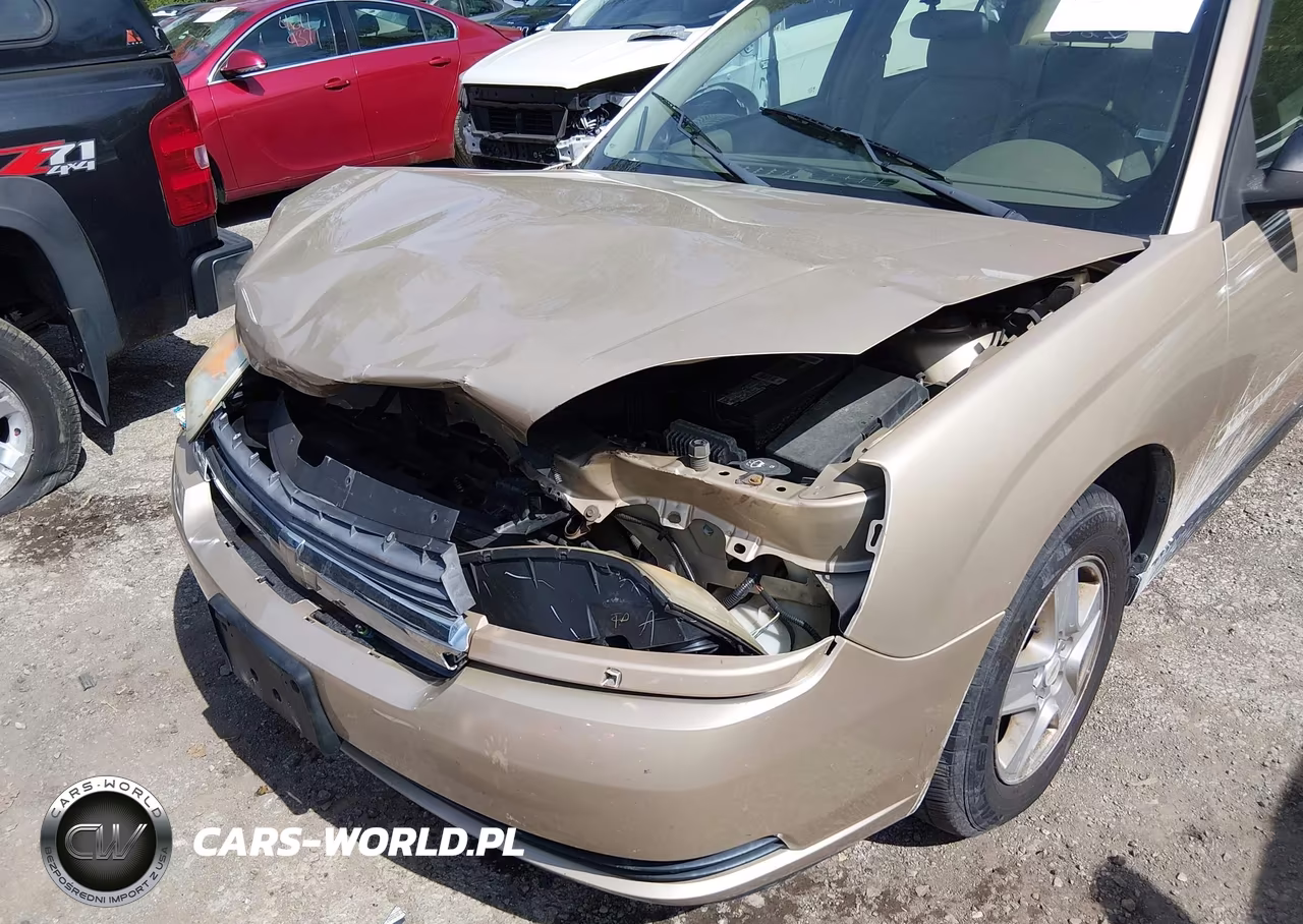 2004 Chevrolet Malibu Ls VIN:1G1ZT54854F246419 - 6