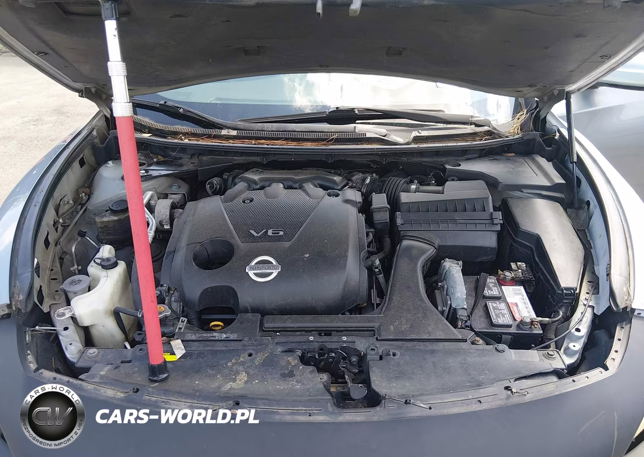 2009 Nissan Maxima 3.5 S VIN:1N4AA51E79C848757 - 10