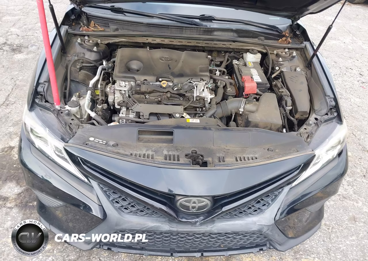 2019 Toyota Camry Se VIN:4T1B11HK1KU268015 - 10
