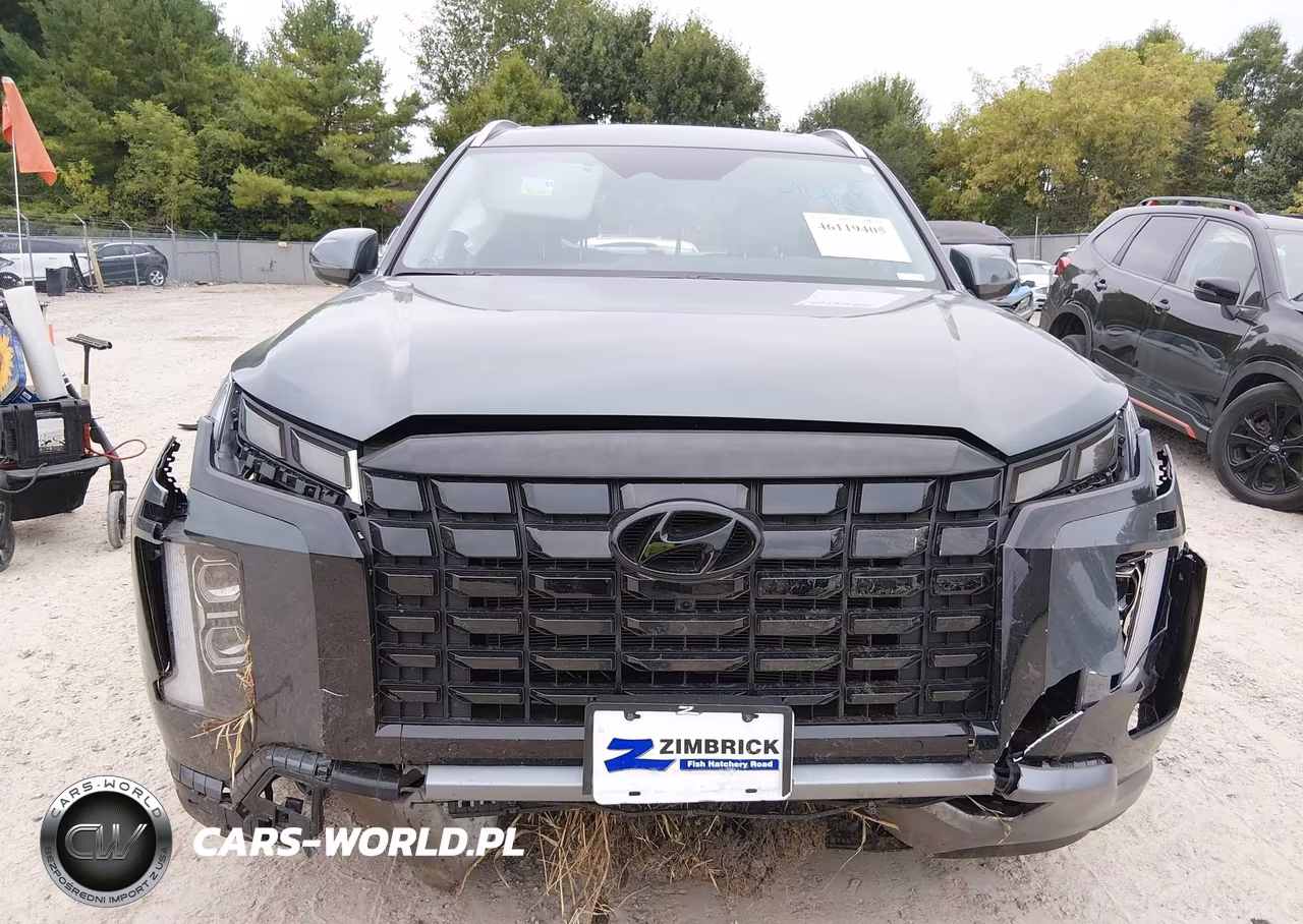 2025 Hyundai Palisade Sel Premium VIN:KM8R4DGE8SU934032 - 13