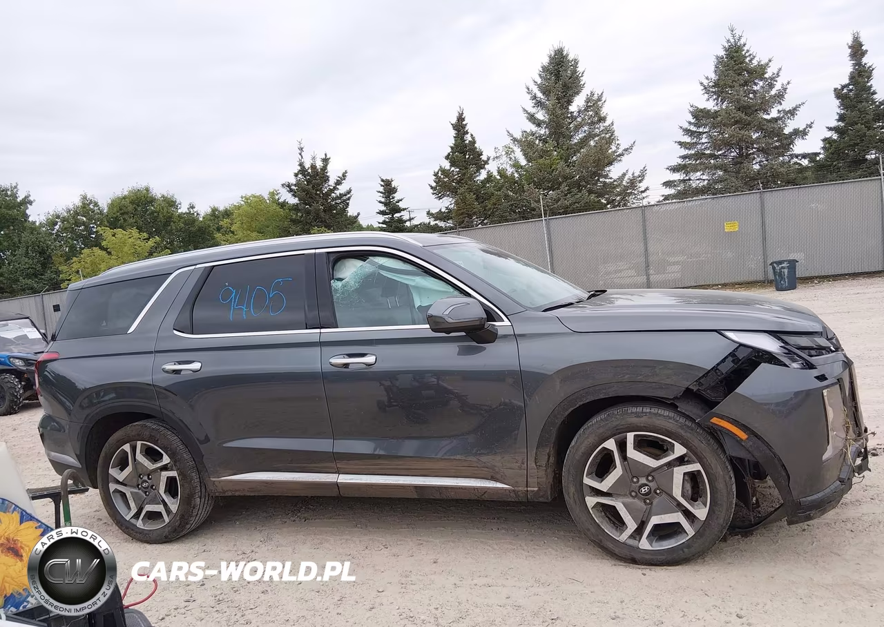 2025 Hyundai Palisade Sel Premium VIN:KM8R4DGE8SU934032 - 14