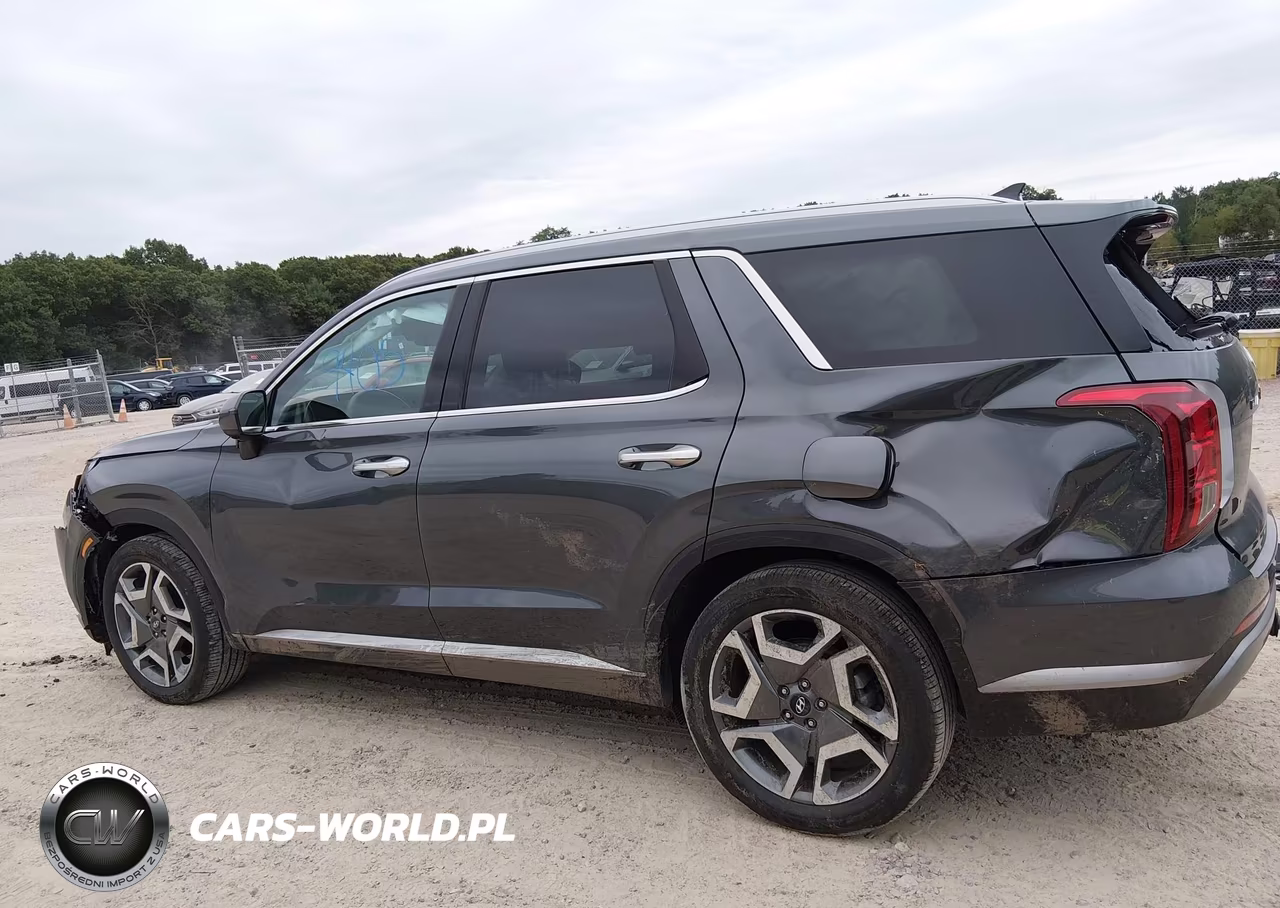 2025 Hyundai Palisade Sel Premium VIN:KM8R4DGE8SU934032 - 15