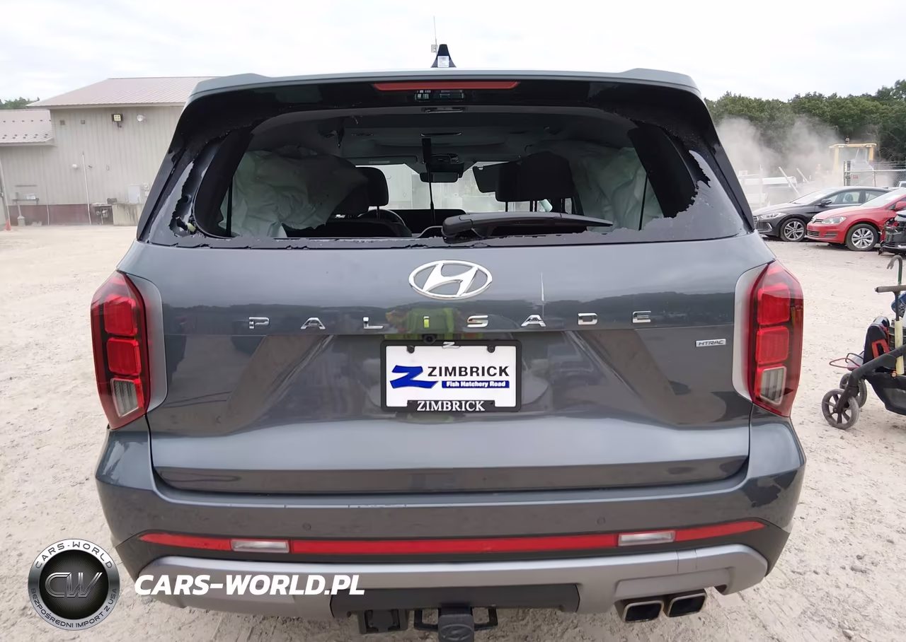 2025 Hyundai Palisade Sel Premium VIN:KM8R4DGE8SU934032 - 17