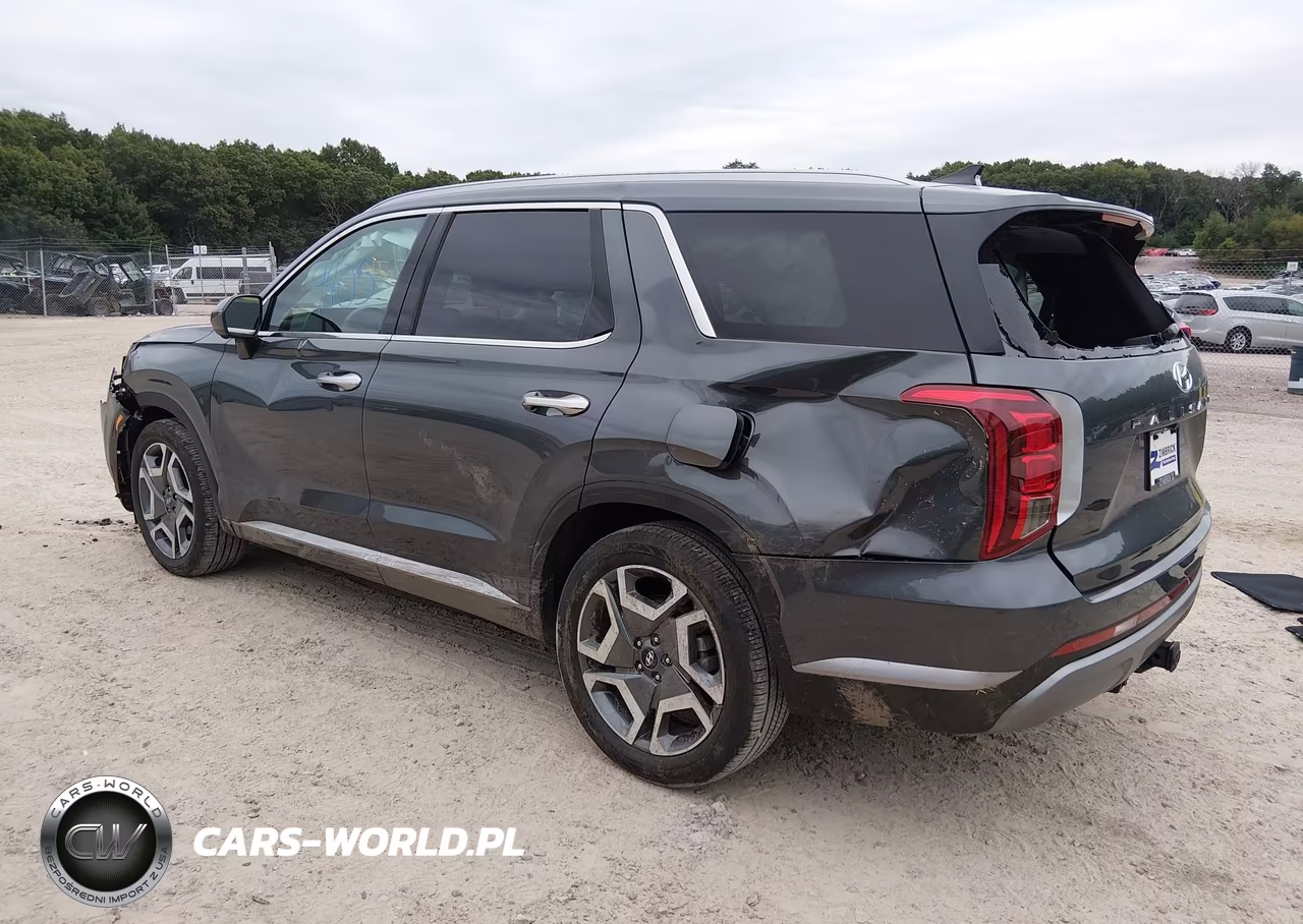 2025 Hyundai Palisade Sel Premium VIN:KM8R4DGE8SU934032 - 3
