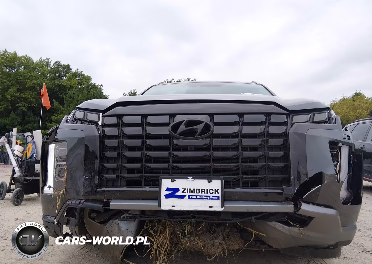 2025 Hyundai Palisade Sel Premium VIN:KM8R4DGE8SU934032 - 6