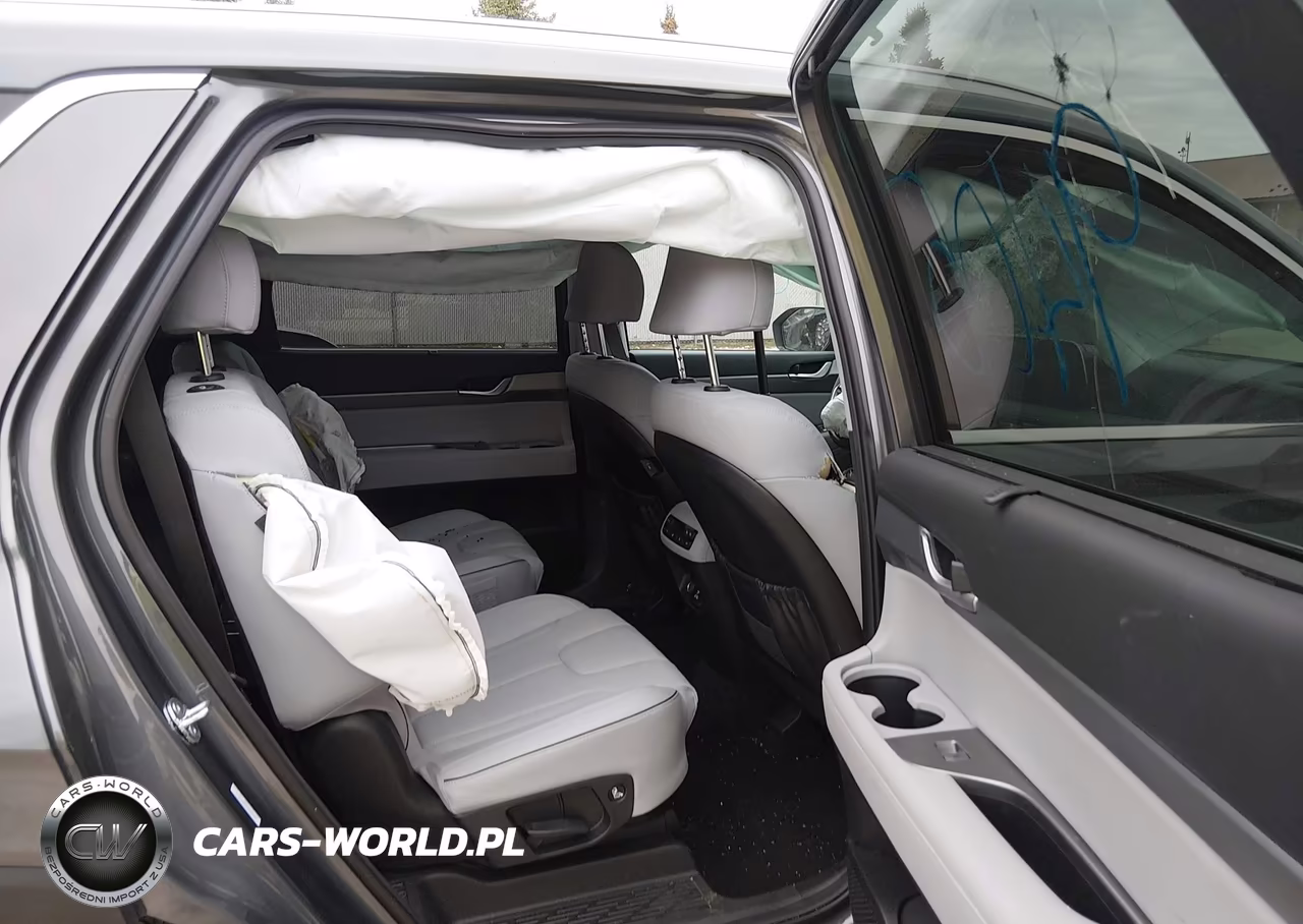 2025 Hyundai Palisade Sel Premium VIN:KM8R4DGE8SU934032 - 8