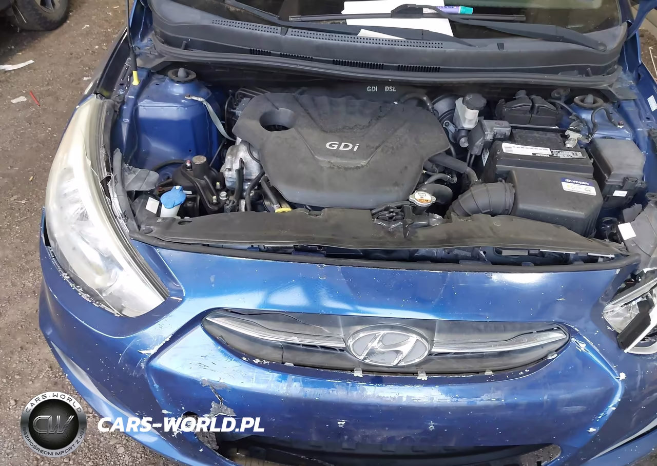 2016 Hyundai Accent Se VIN:KMHCT4AE1GU011254 - 10