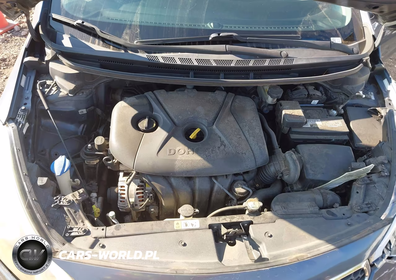2016 Kia Forte Lx VIN:KNAFK4A66G5600756 - 10