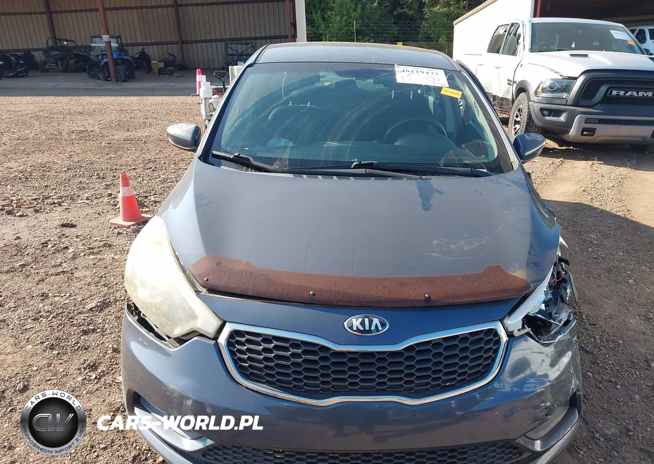2016 Kia Forte Lx VIN:KNAFK4A66G5600756 - 12
