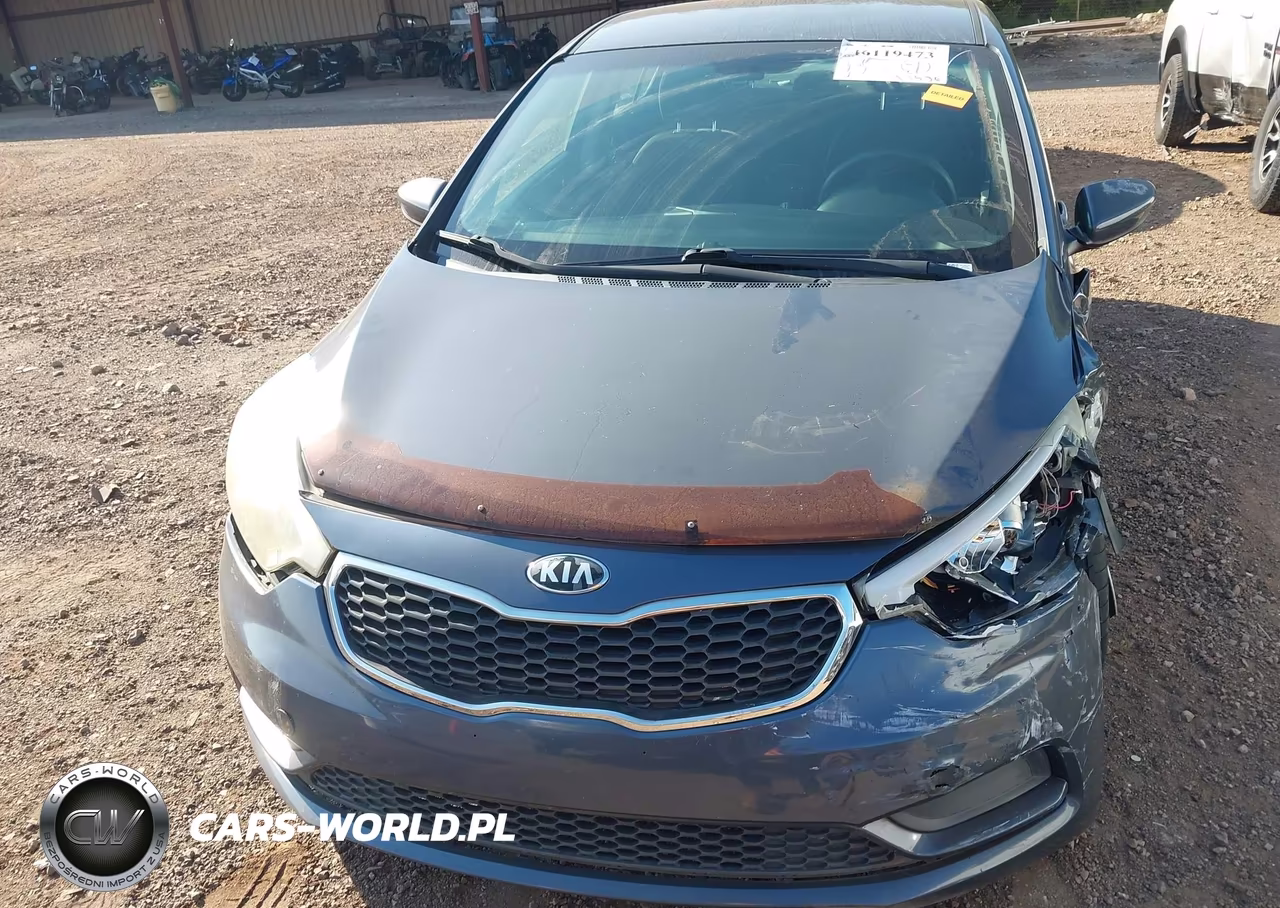 2016 Kia Forte Lx VIN:KNAFK4A66G5600756 - 6