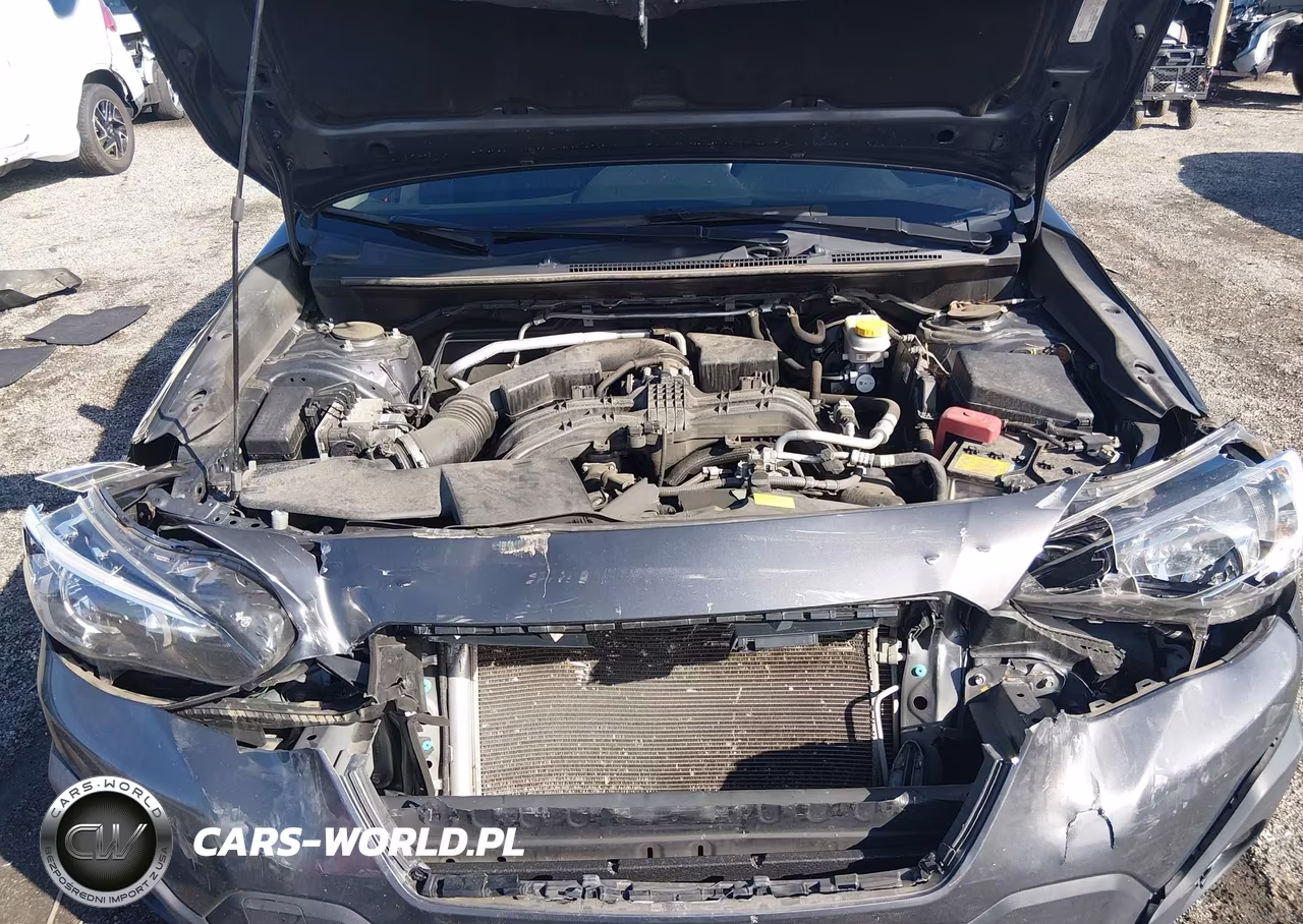 2021 Subaru Crosstrek Sport VIN:JF2GTHSC4MH360117 - 10
