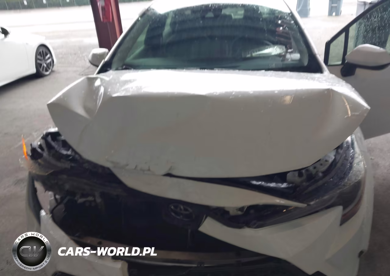 2020 Toyota Corolla Le VIN:JTDEPRAE1LJ011930 - 10