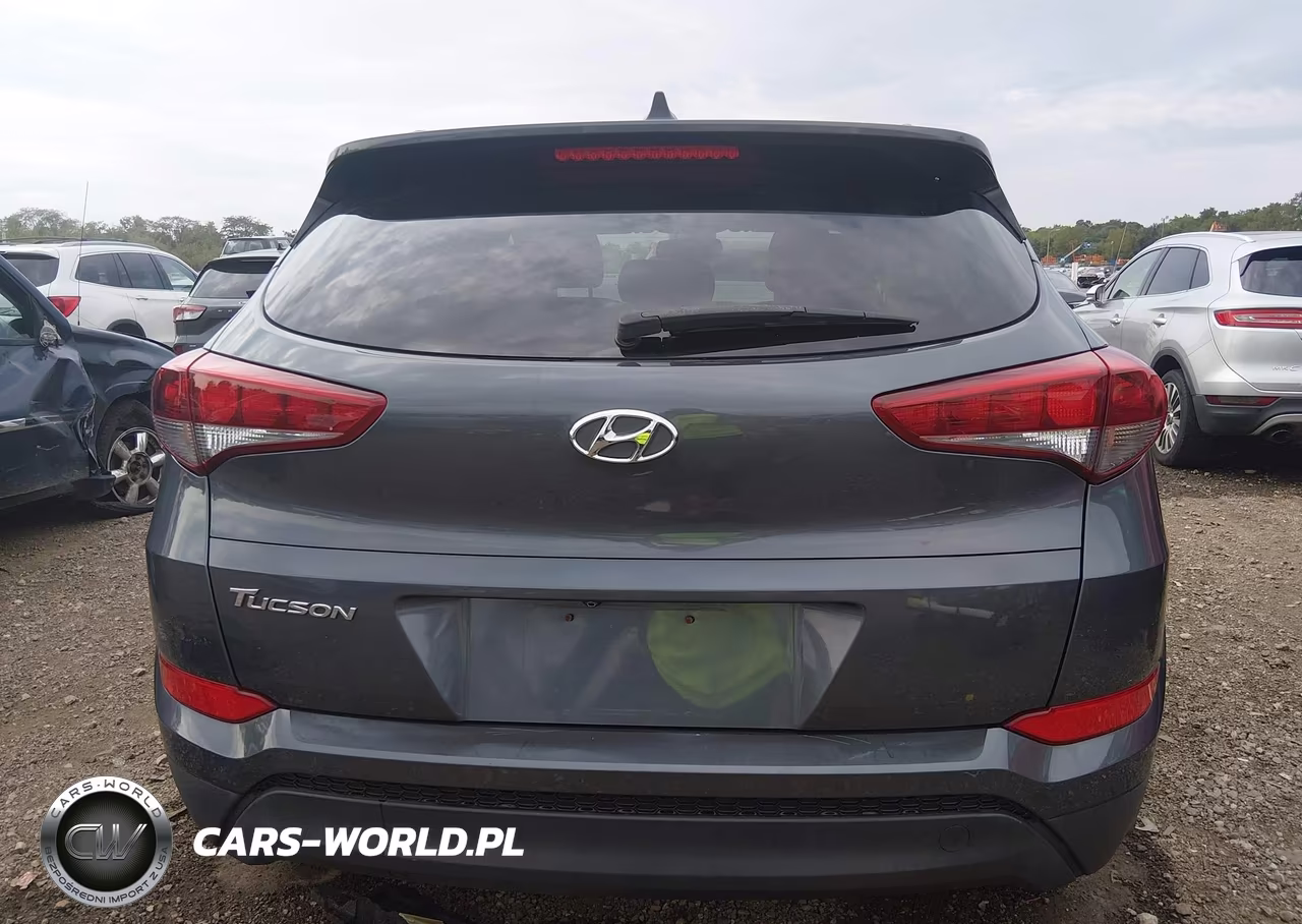 2017 Hyundai Tucson Se Plus VIN:KM8J33A46HU433045 - 16
