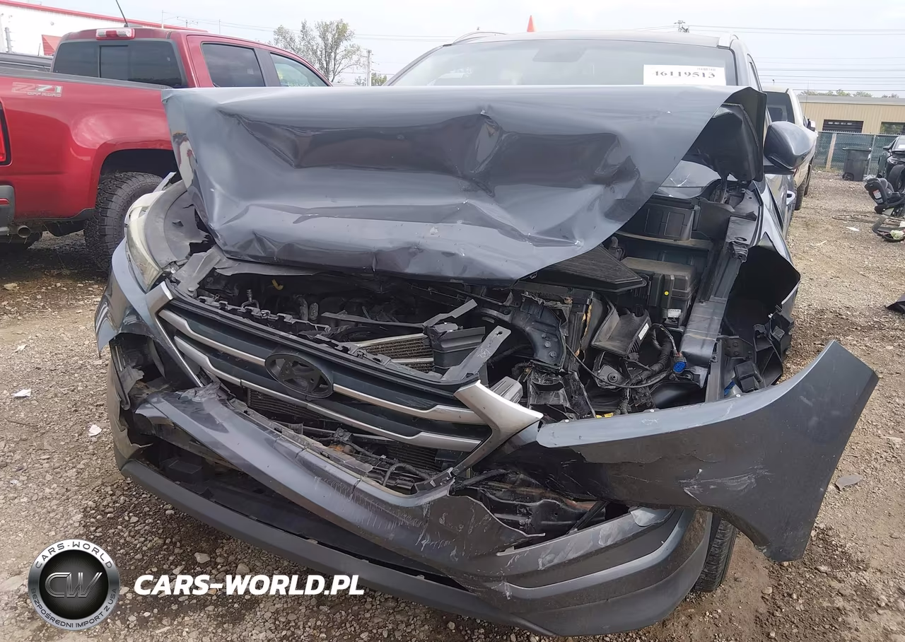 2017 Hyundai Tucson Se Plus VIN:KM8J33A46HU433045 - 6