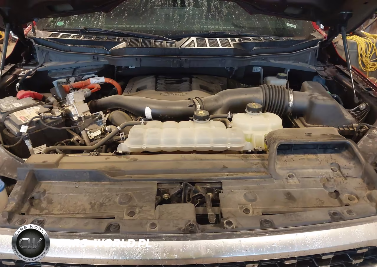 2021 Ford F-150 Platinum VIN:1FTFW1CD8MFA58681 - 10