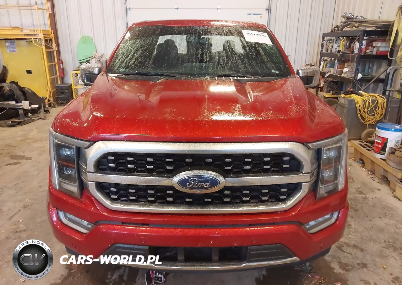 2021 Ford F-150 Platinum VIN:1FTFW1CD8MFA58681 - 12