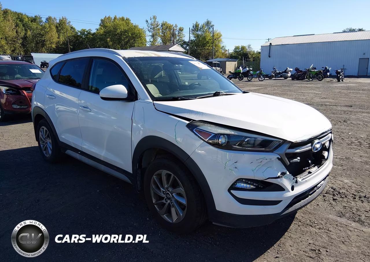 2017 Hyundai Tucson Se VIN:KM8J3CA4XHU550420 - 1