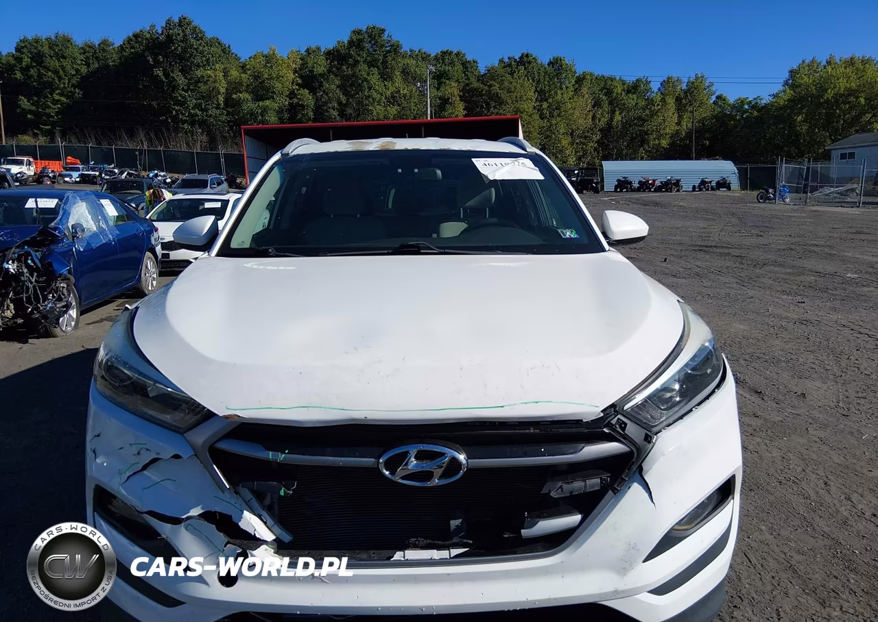 2017 Hyundai Tucson Se VIN:KM8J3CA4XHU550420 - 12