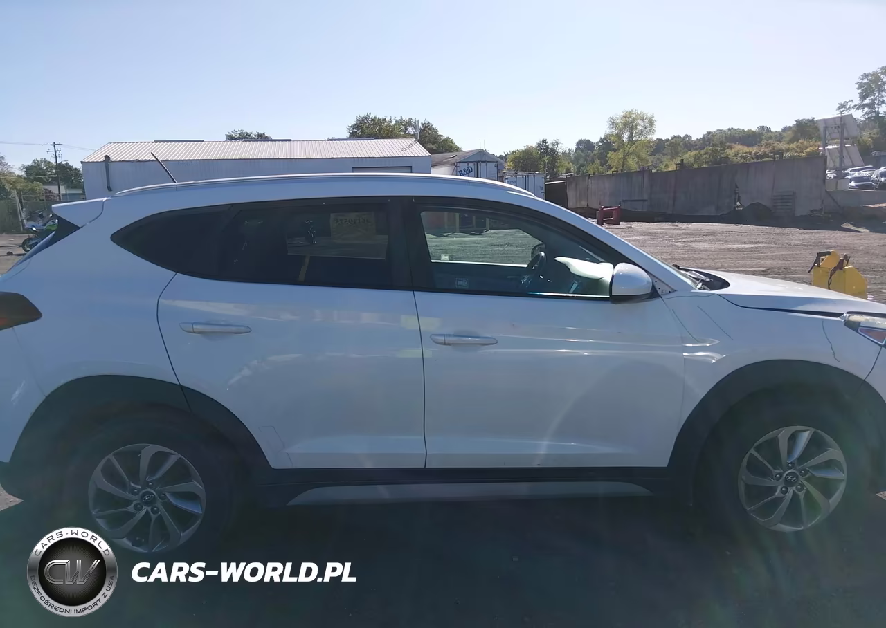 2017 Hyundai Tucson Se VIN:KM8J3CA4XHU550420 - 13