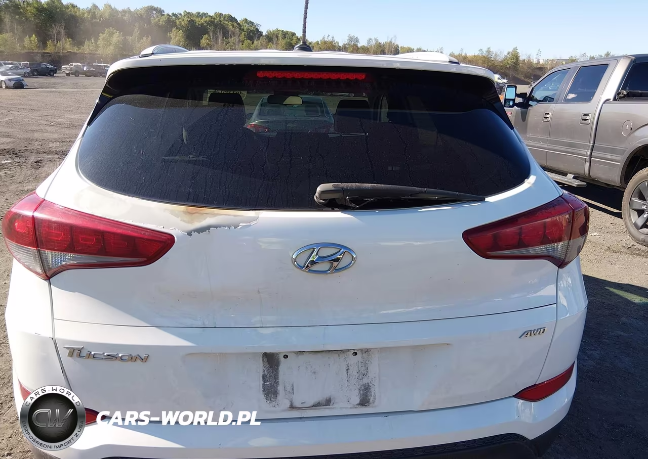 2017 Hyundai Tucson Se VIN:KM8J3CA4XHU550420 - 16