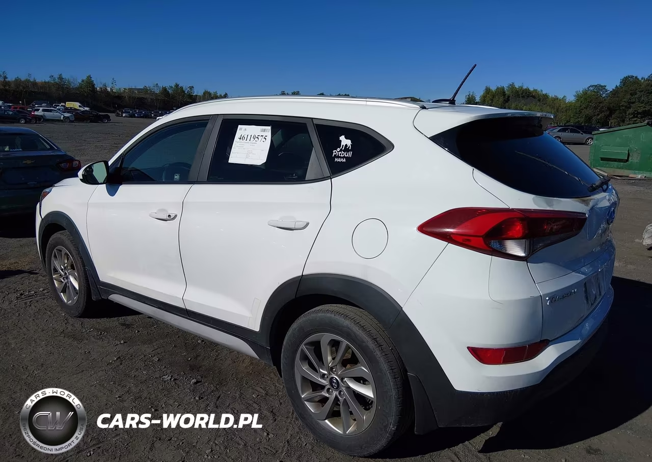 2017 Hyundai Tucson Se VIN:KM8J3CA4XHU550420 - 3