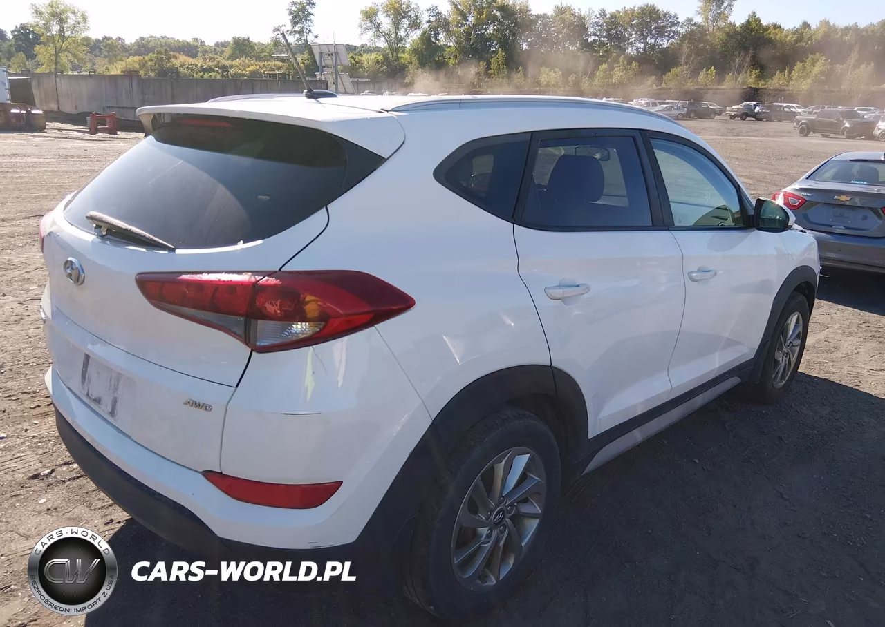 2017 Hyundai Tucson Se VIN:KM8J3CA4XHU550420 - 4