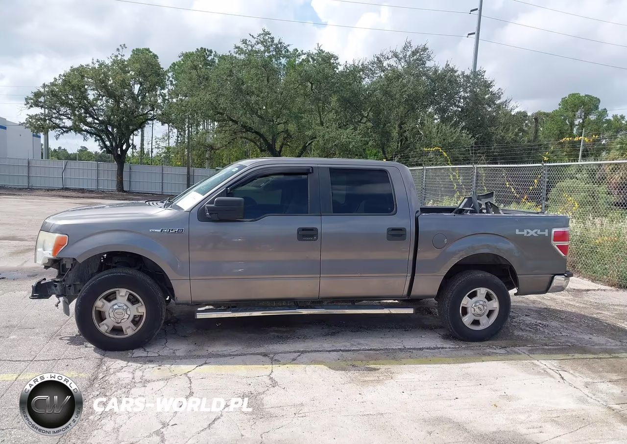 2013 Ford F-150 Xlt VIN:1FTFW1EF9DFC20817 - 15