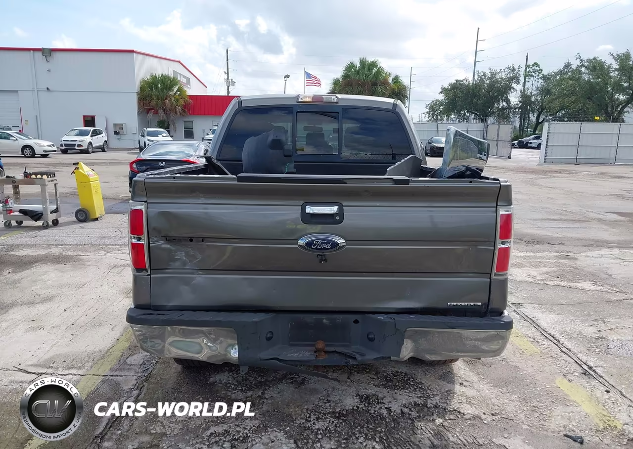 2013 Ford F-150 Xlt VIN:1FTFW1EF9DFC20817 - 17