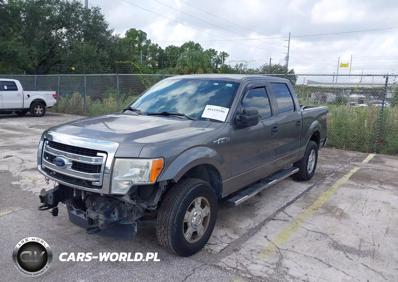 2013 Ford F-150 Xlt VIN:1FTFW1EF9DFC20817 - 2
