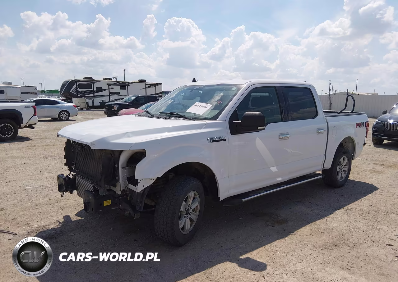 2019 Ford F-150 Xlt VIN:1FTEW1EPXKKC20480 - 20