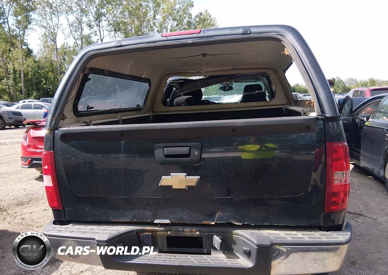 2010 Chevrolet Silverado 1500 Lt VIN:1GCSKSE31AZ106259 - 16