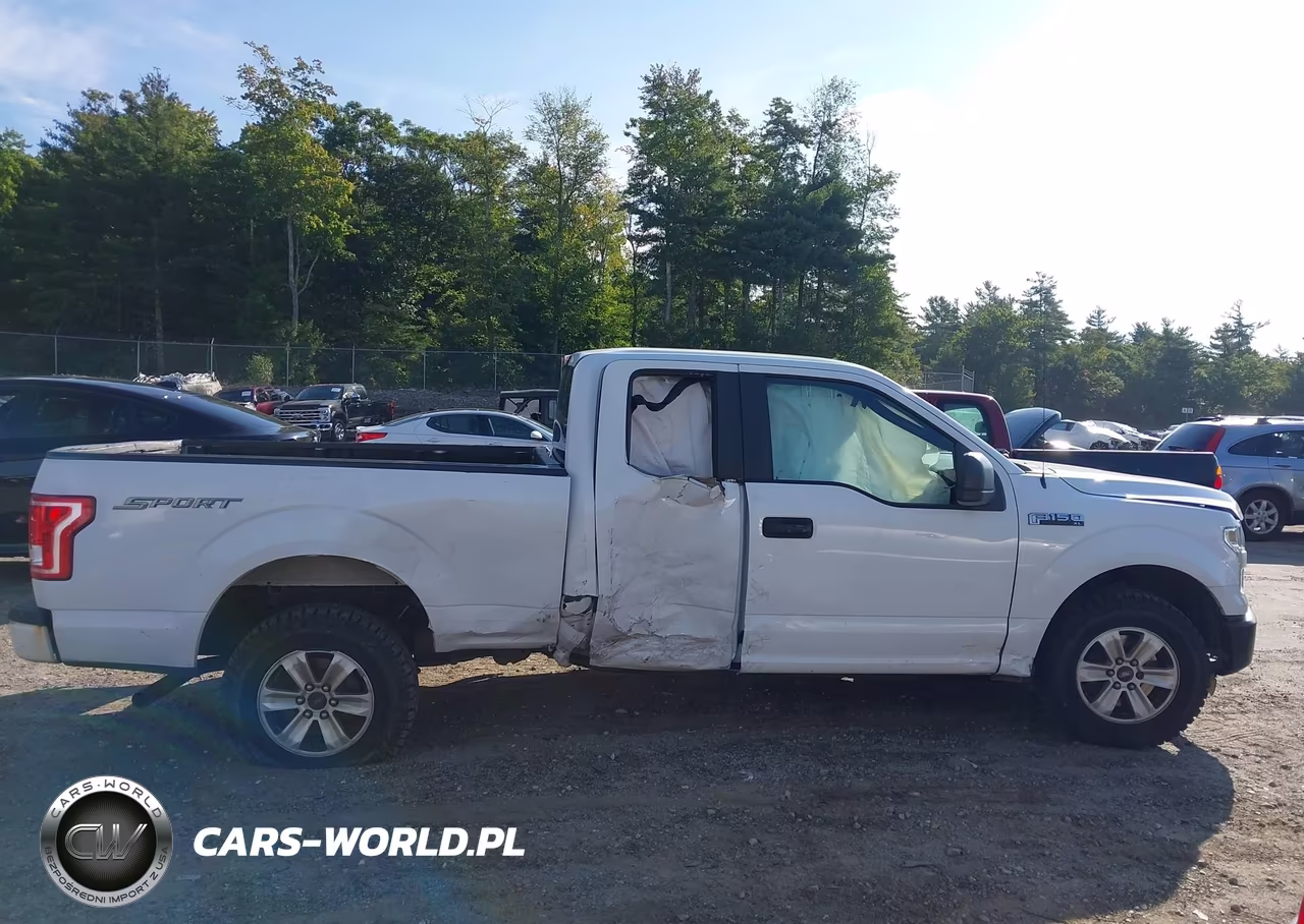 2015 Ford F-150 Xl VIN:1FTEX1C83FKF10848 - 13