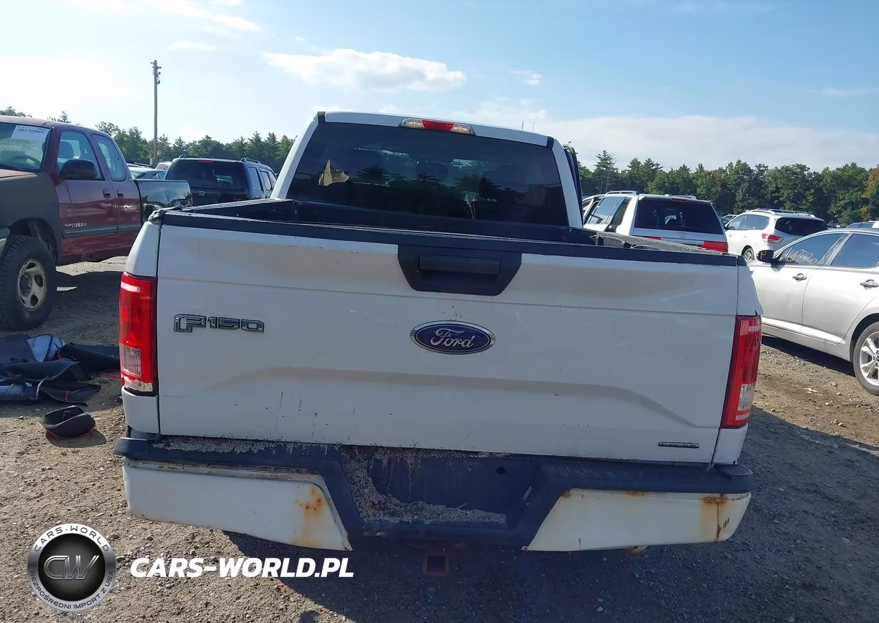 2015 Ford F-150 Xl VIN:1FTEX1C83FKF10848 - 16