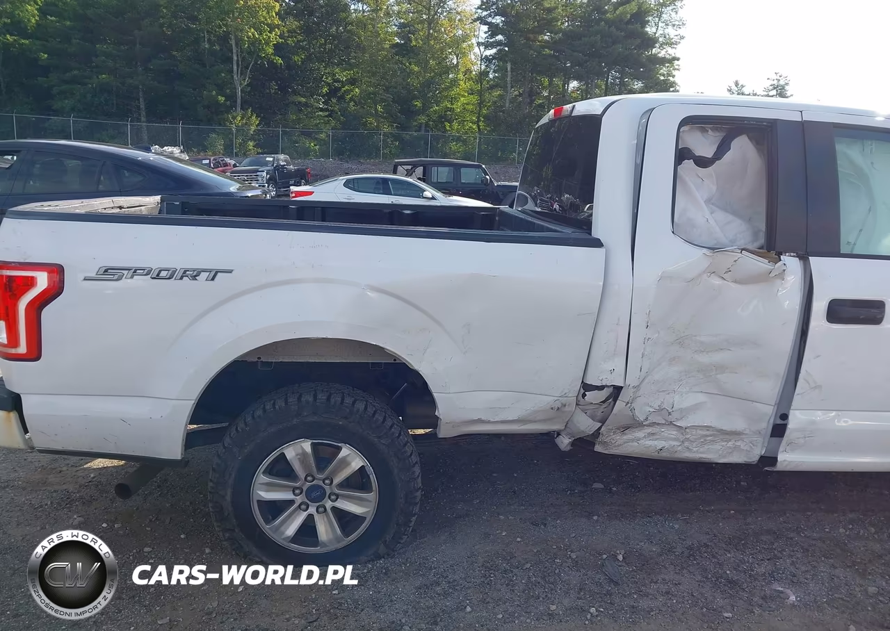 2015 Ford F-150 Xl VIN:1FTEX1C83FKF10848 - 17