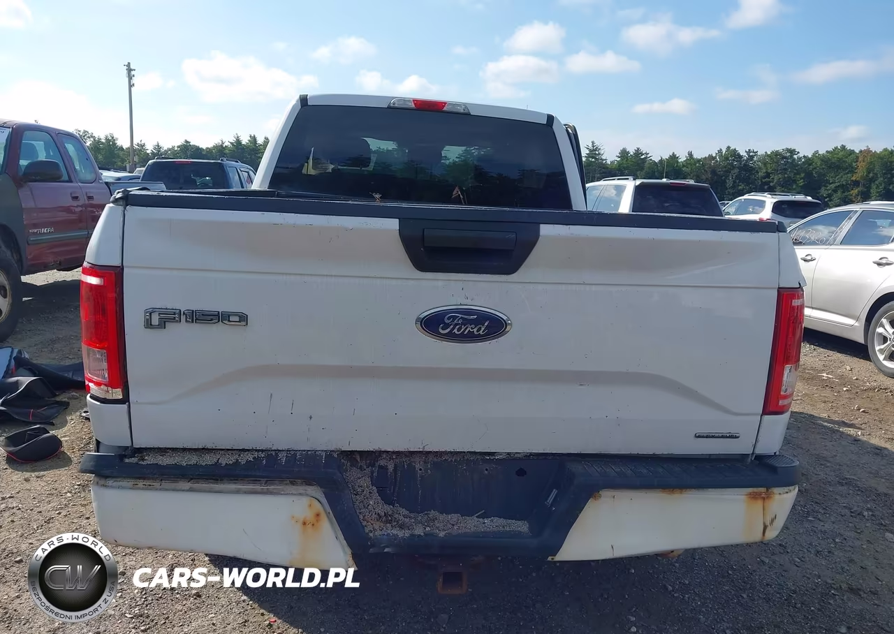 2015 Ford F-150 Xl VIN:1FTEX1C83FKF10848 - 19