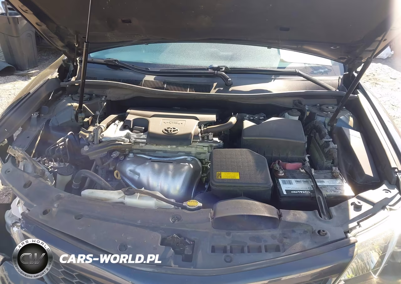 2013 Toyota Camry Se VIN:4T1BF1FK1DU289244 - 10