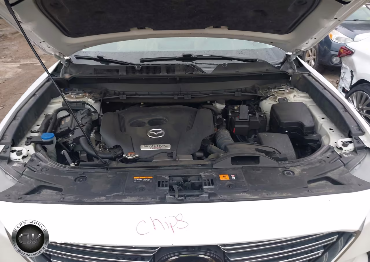 2021 Mazda Cx-9 Touring VIN:JM3TCBCYXM0534234 - 10