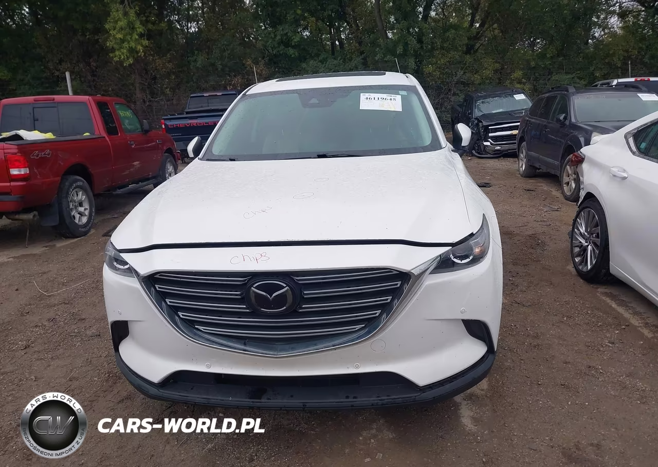 2021 Mazda Cx-9 Touring VIN:JM3TCBCYXM0534234 - 12